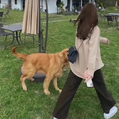 最后一个共产党人